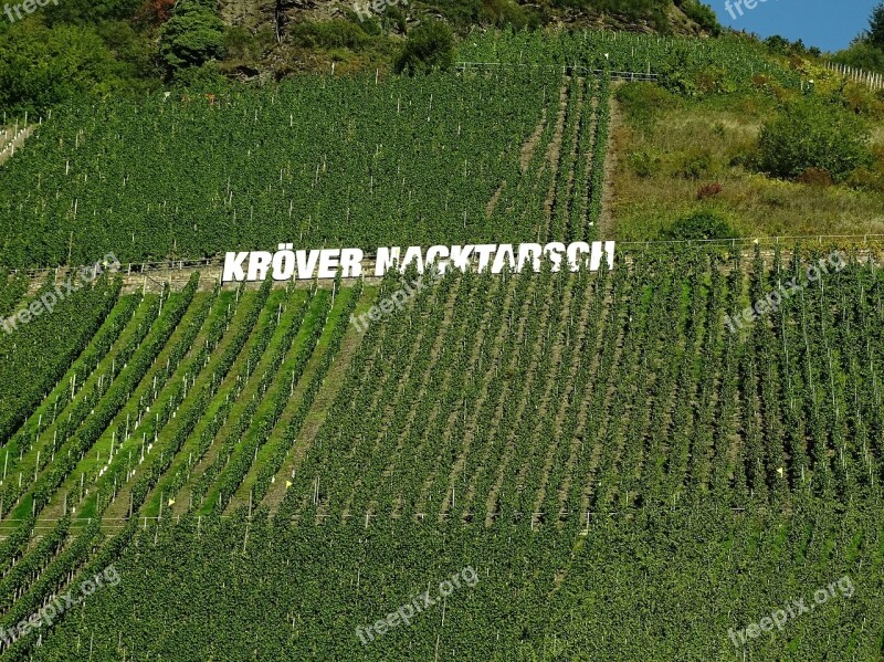 Vineyard Mosel Winegrowing Steep Slope Slate