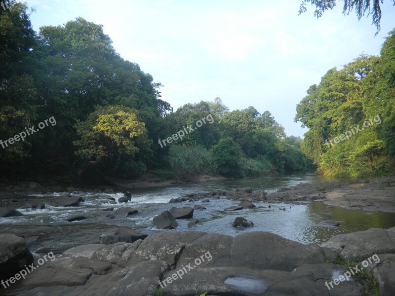 Nature Kalimantan Forest Water River