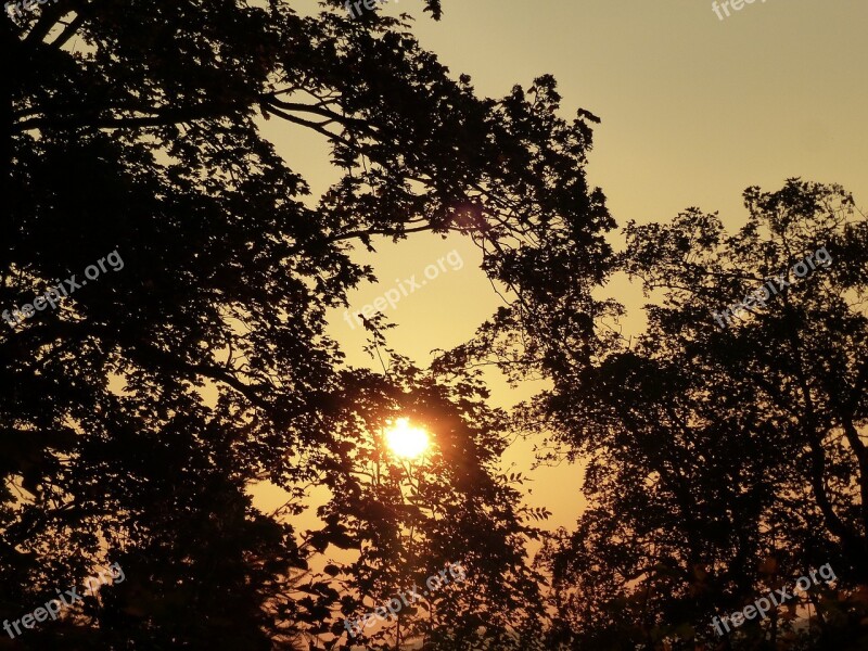 Sunset Sky Evening Sky Orange Sun Orange Sky