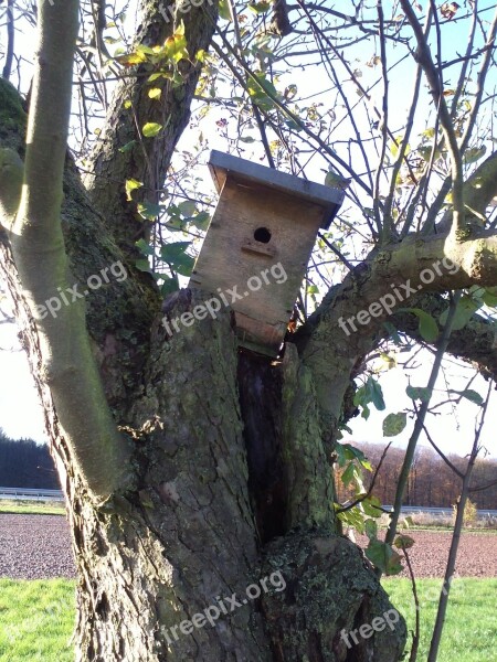 Autumn Bird Feeder Tree Orchard Log