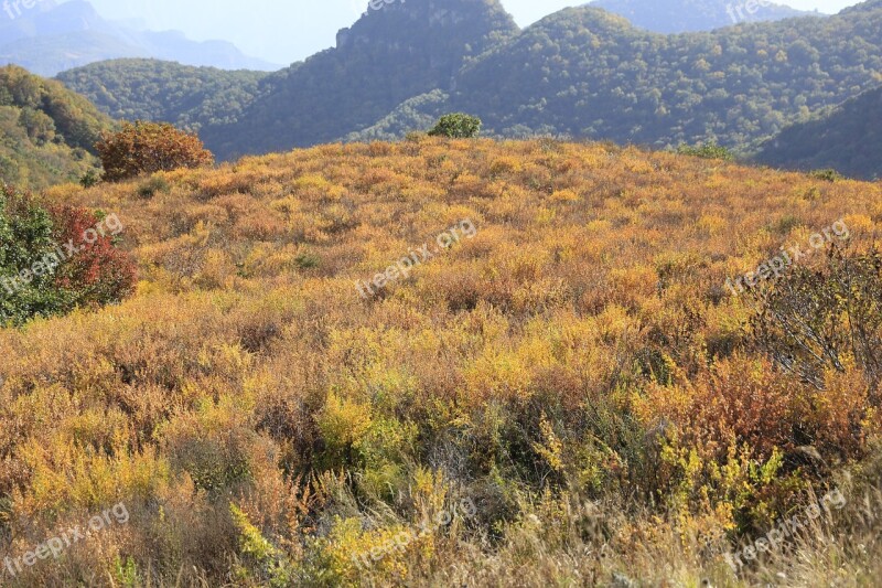 Yellow Grass Beam Hillside Autumn Views Nature