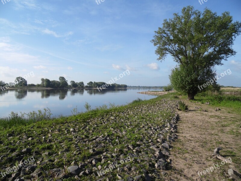 Elbtalaue Elbe River Heister Bush Free Photos