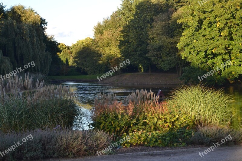 Borbeck Castle Park North Rhine Westphalia Nature Plant