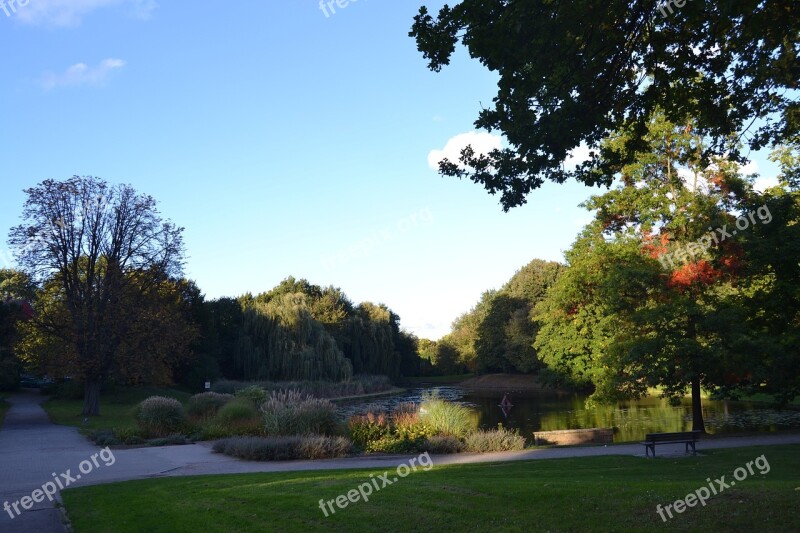 Borbeck Castle Park North Rhine Westphalia Nature Plant