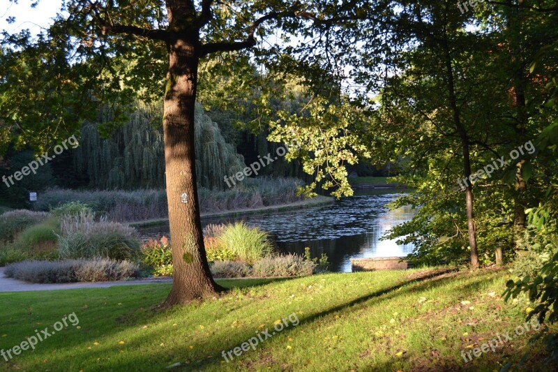 Borbeck Castle Park North Rhine Westphalia Nature Plant