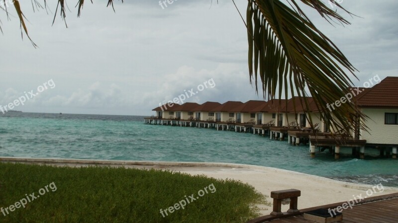 Maldives North Male Atoll Sea Palms Sand