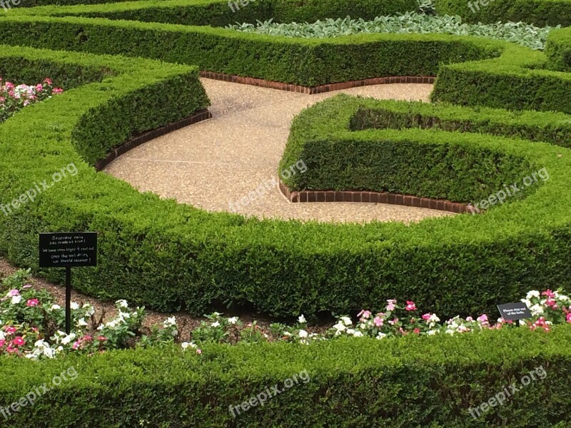 Garden Design Curves Maze Green Flowers