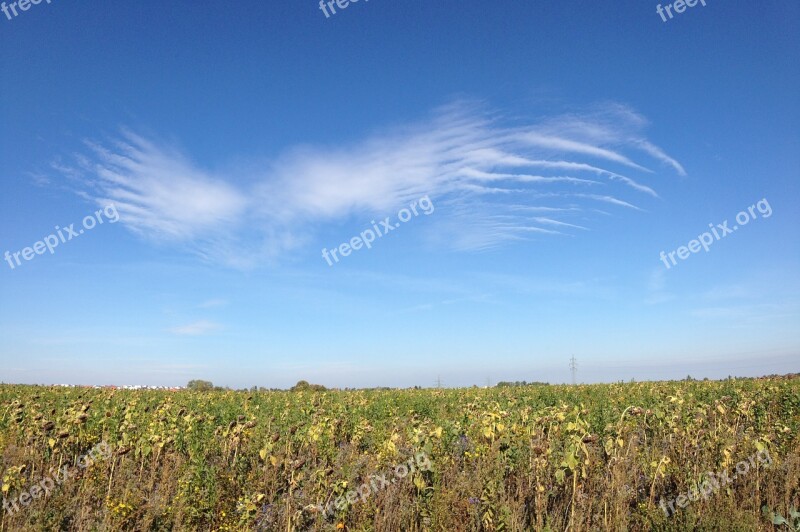 Sky Cloud Angel Wings Wing Field