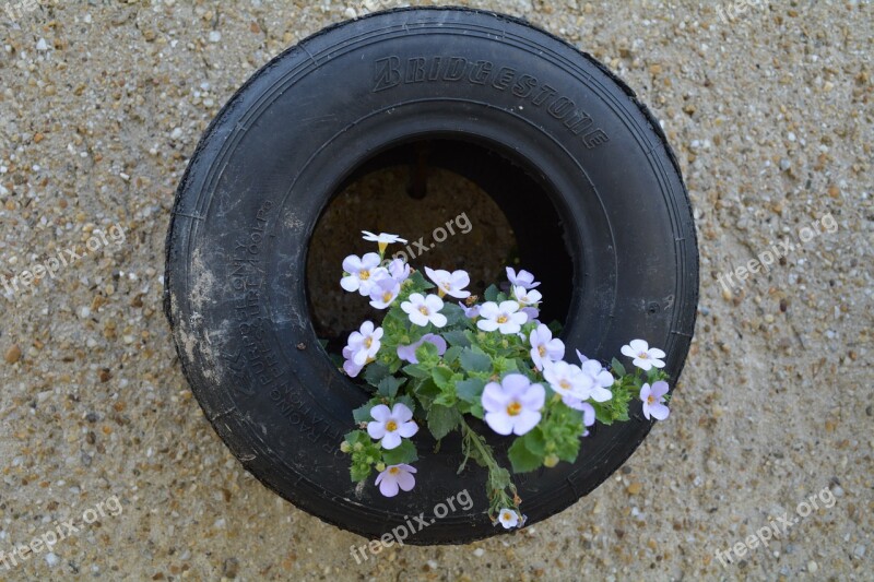 Tire Flower Idea Garden Dekoracia