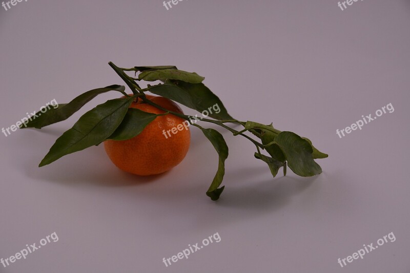 Mandarin Fruit Red Flavor Citrus