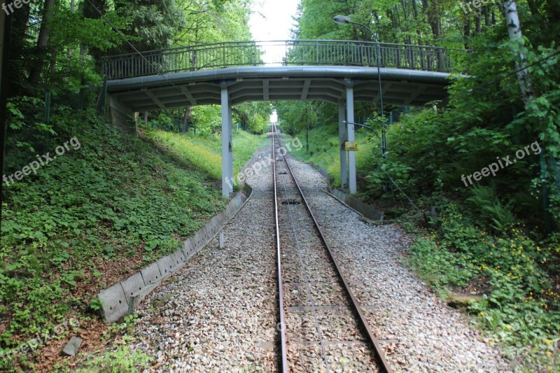 The Queue Tracks Mountains Beskid Mountain