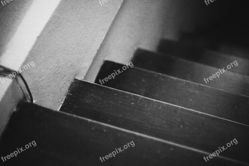 Level Down Black And White Ladder Leadher