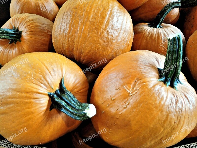 Pumpkins Vegetable Thanksgiving Halloween Pies