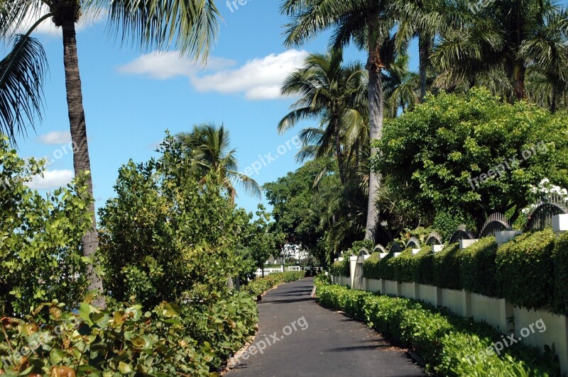 West Palm Beach Florida Path Beach Palm