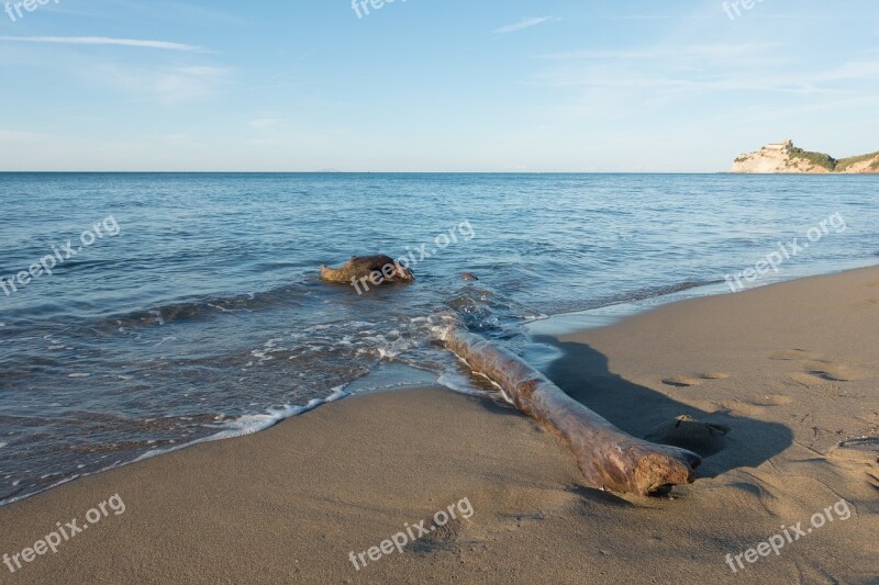 Beach Sea Log Rock Sand