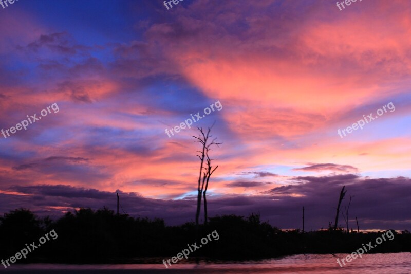 Sky Tree Clouds Dry Tree Sunset