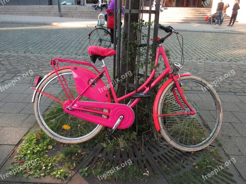 Bike Pink Dutch Cheerful Women's Bicycle