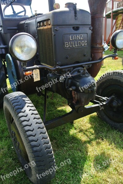 Lanz Bulldog Oldtimer Tractor Agriculture Agricultural Tractor