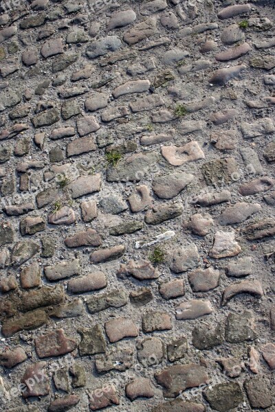 Cobblestones Stones Texture Sidewalk Grey