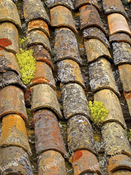 Tiles Roof Cover Tiled Rooftop