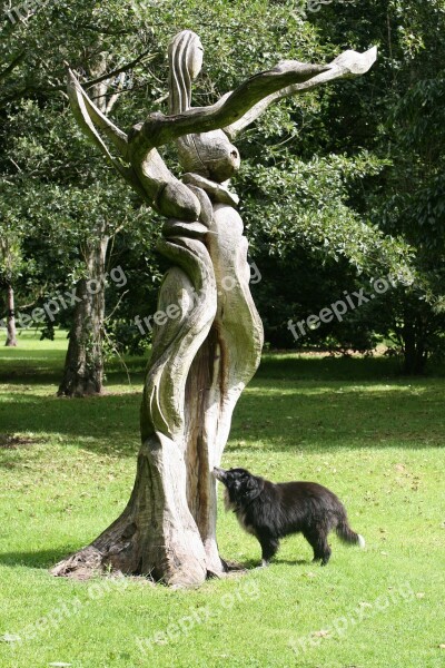 Colly Dog Sculpture Wood Collie