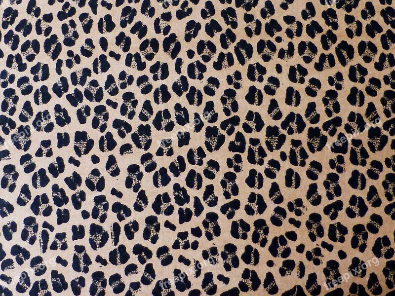 Background Pattern Leopard Cardboard Wild Animal