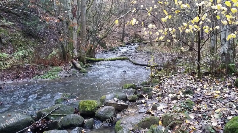 River Nature Forest Autumn Nature Landscape