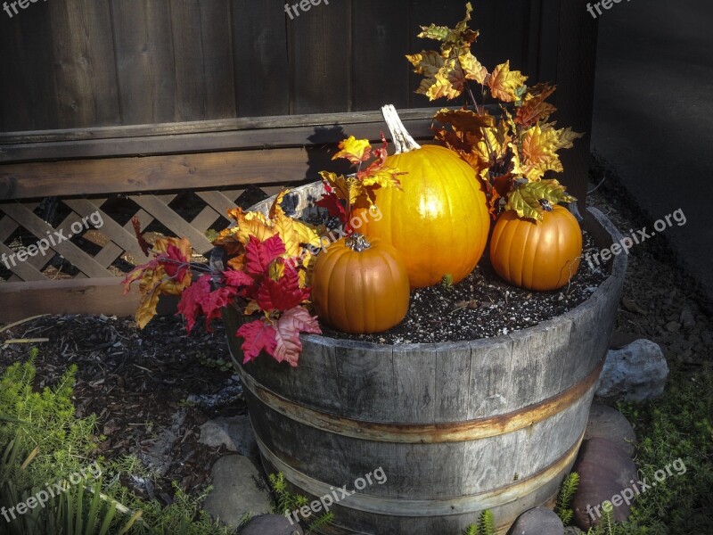 Pumpkin Fall Orange Thanksgiving Decoration