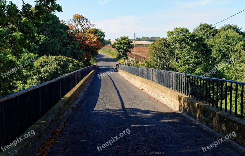 Country Lane Bridge Lane Country Road