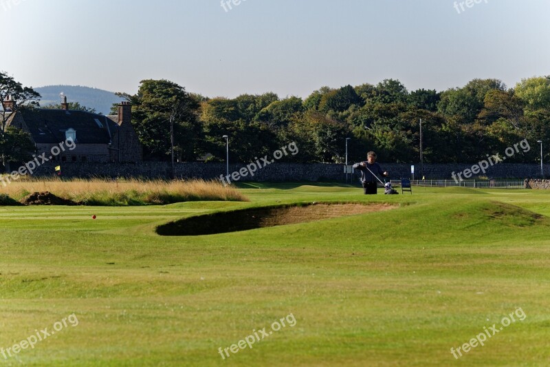 Golfer Golf Course Bunker Green Golf