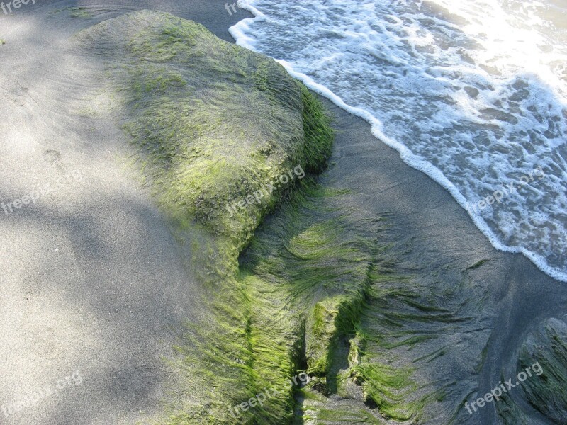 Sand Sea Edge Of The Sea Waves Landscape