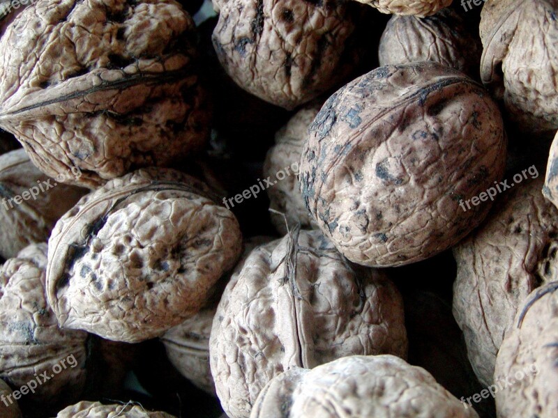 Walnut Italian Harvest Shell Packaging