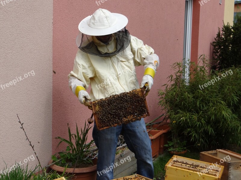 Beekeeper Honey Beekeeping Honey Bees Bees