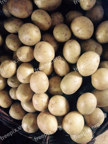 Potatoes Eat Vegetables Harvest Grey