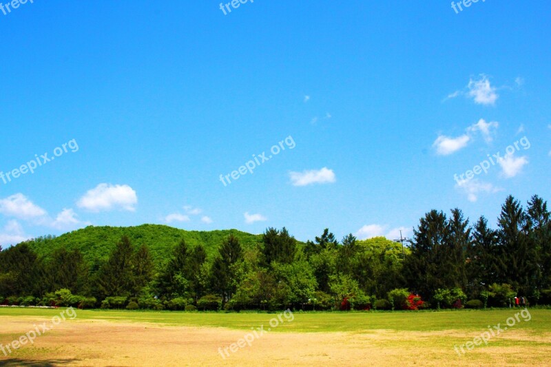 Landscape Nature Scenery Arboretum Field