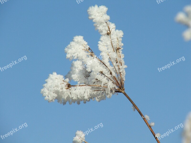 Autumn Icing Nature Winter Slovakia