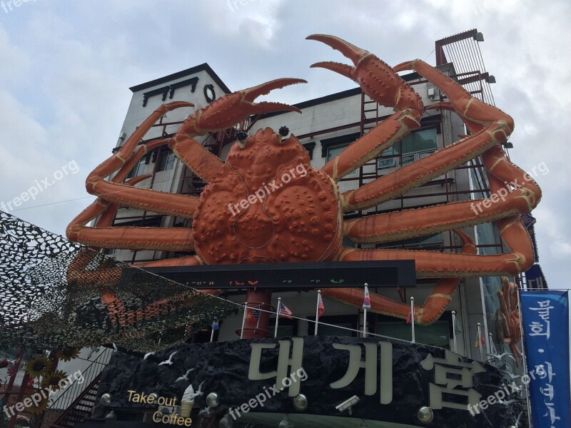 Snow Crab Usually The Eugene These Eugene Republic Of Korea To Eugene Free Photos