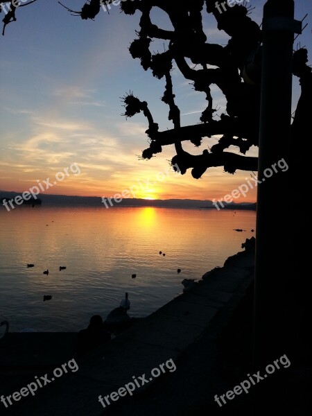 Sunset Abendstimmung Lake Water Orange Sky