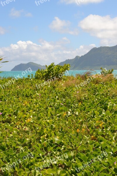 Beach Mountains Ocean Sky Blue