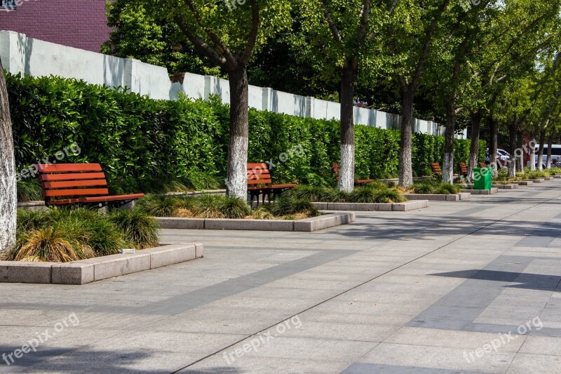 Scene Park Bench Trees Views