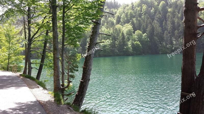 Alatsee Allgäu Idyll Water Still