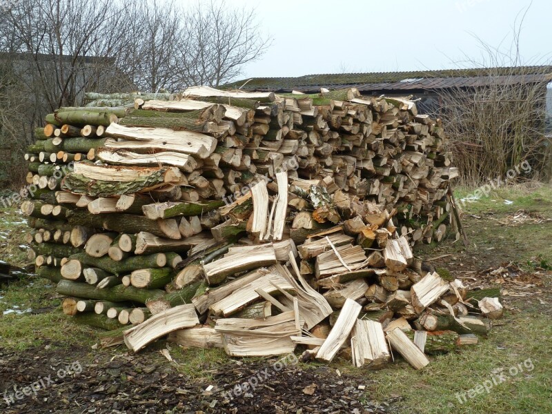 Wood Firewood Stack Holzstapel Growing Stock