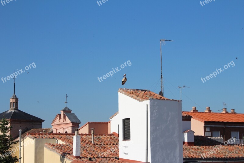 Roofs Alcalá Stork Nature Alcala De Henares