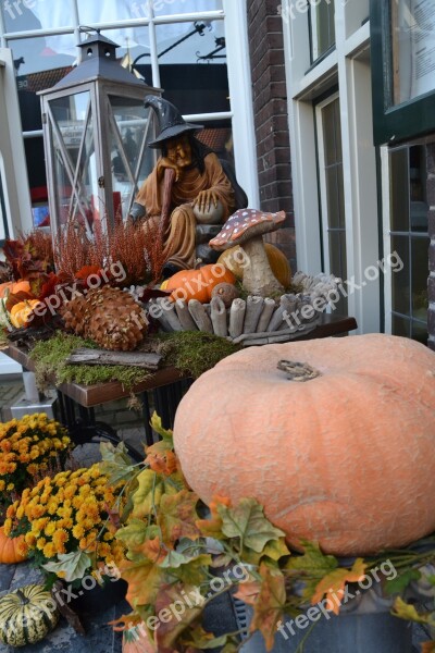 Helloweenm Cucurbita Decoration Autumn Mood Presentation Autumn