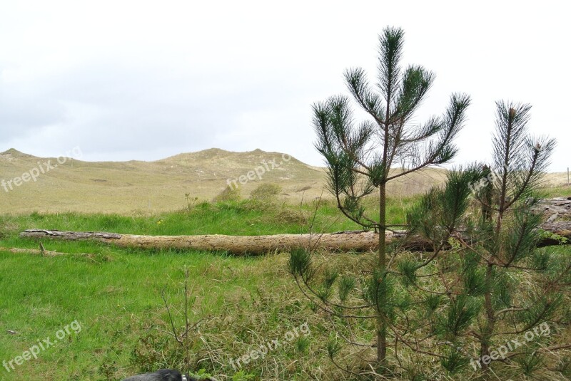 Texel Dunes Landscape Plant Vacations