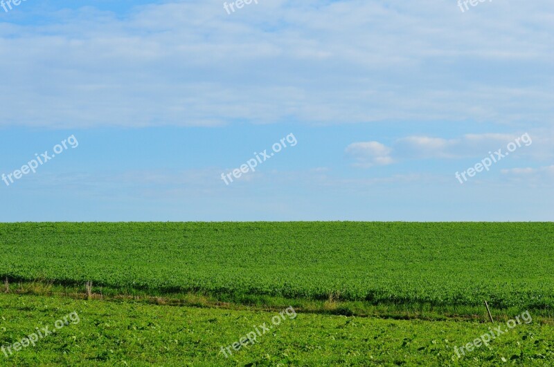 Meadow Sky Landscape Nature Grass