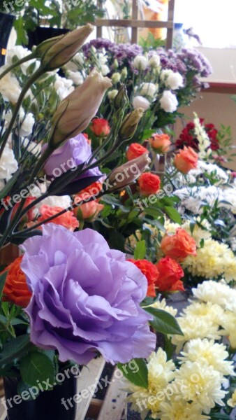 Flower Shop Flowers Colorful Fresh White