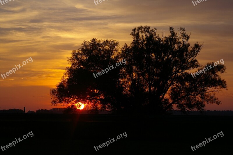 Sunset Evening Clouds Sky Silhouette