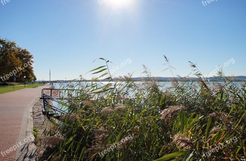 Lake Balaton Reeds Promenade Coast