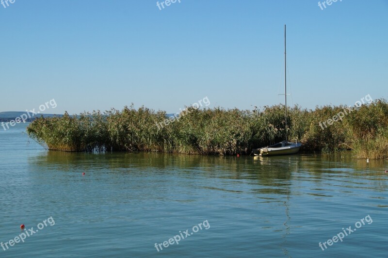 Lake Balaton Reeds Rowboat Sailing Boat